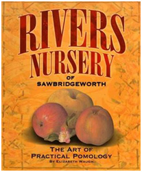 Rivers Nursery of Sawbridgeworth